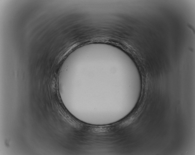 X0000100381401200806060815