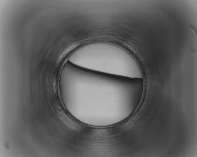 X0000100381402200806060815