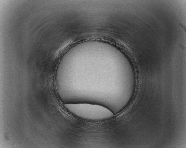 X0000100381403200806060815