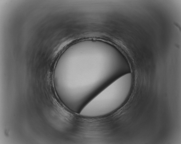 X0000100381404200806060815
