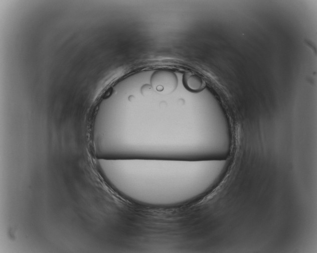 X0000100381405200806060815