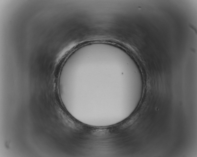 X0000100381406200806060815