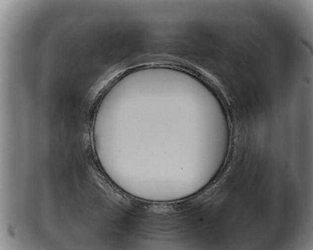 X0000100381407200806060815