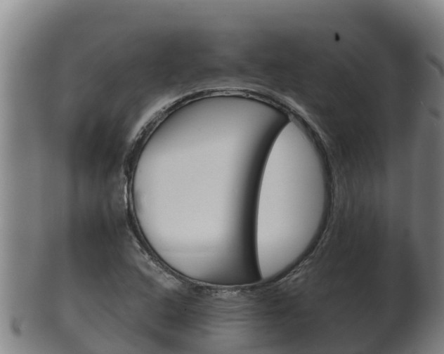 X0000100381408200806060815