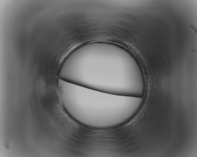 X0000100381409200806060815