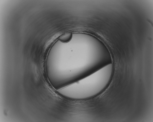 X0000100381410200806060815
