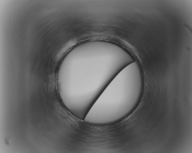 X0000100381411200806060815