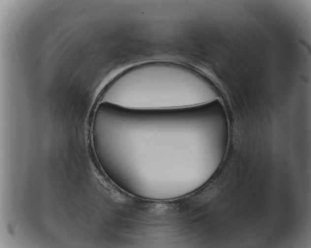 X0000100381412200806060815