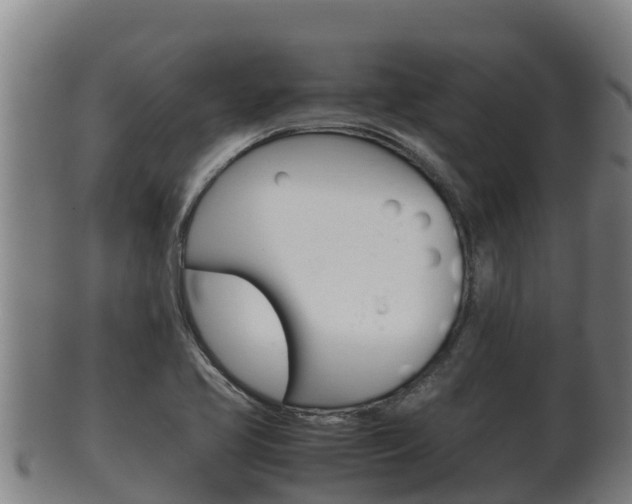X0000100381413200806060815