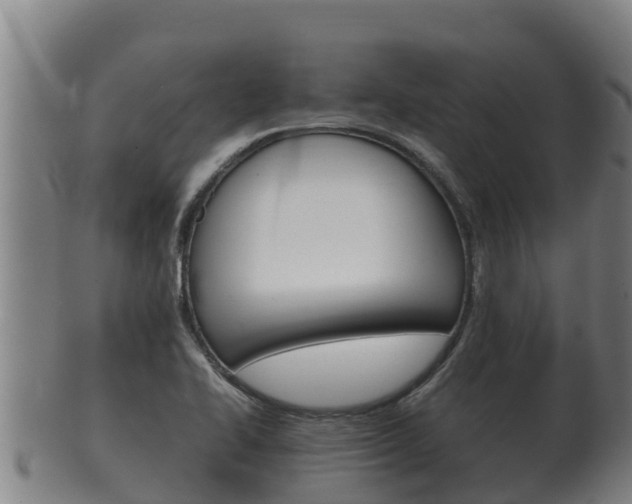 X0000100381414200806060815