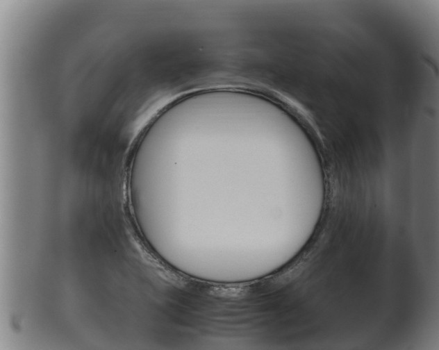 X0000100381415200806060815