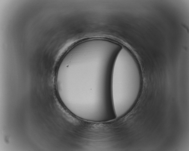 X0000100381416200806060815
