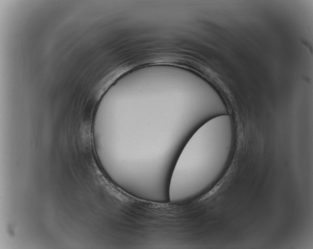 X0000100381417200806060815