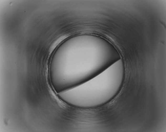 X0000100381418200806060815