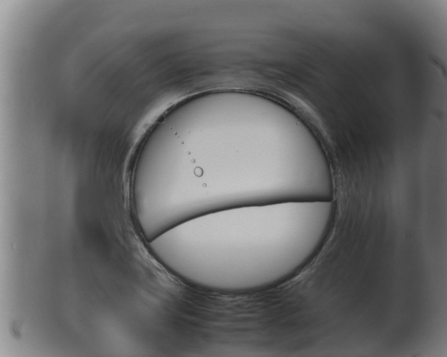 X0000100381419200806060815