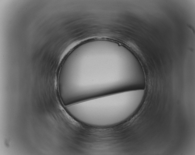 X0000100381420200806060815
