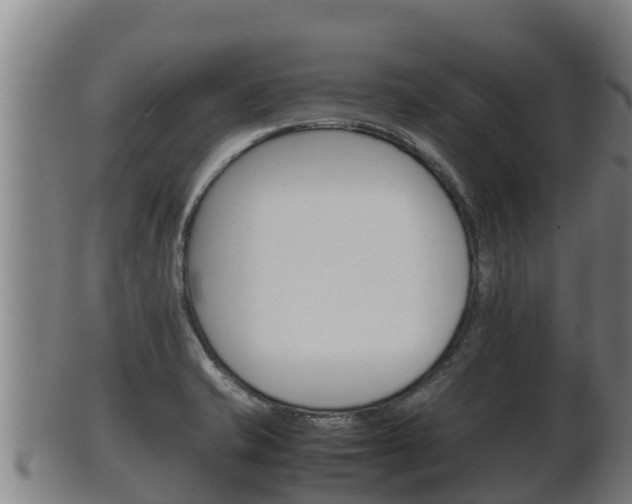 X0000100381421200806060815