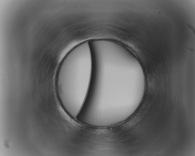 X0000100381422200806060815