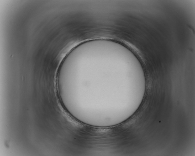 X0000100381423200806060815