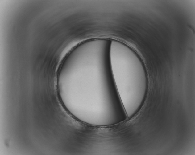 X0000100381424200806060815