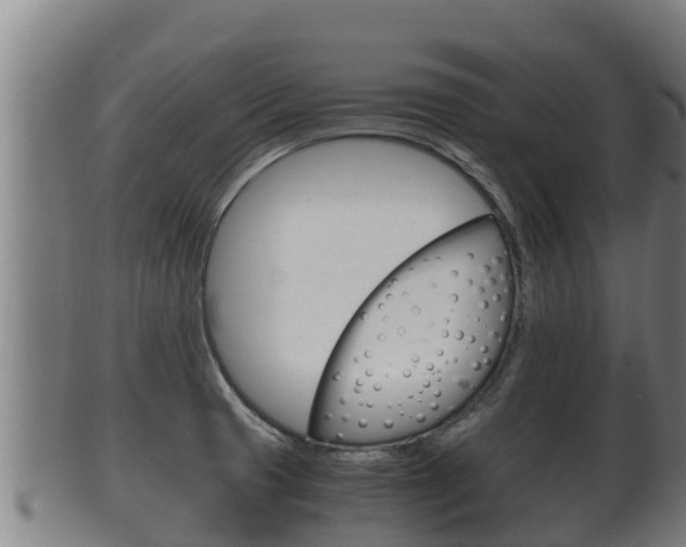 X0000100381425200806060816