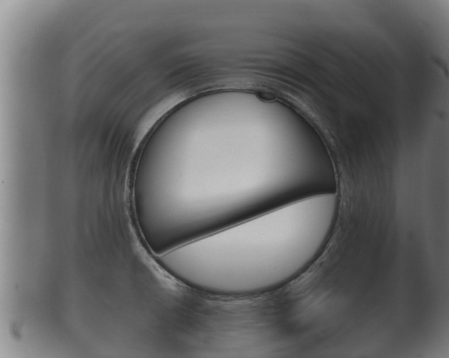 X0000100381426200806060816