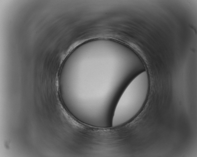 X0000100381428200806060816