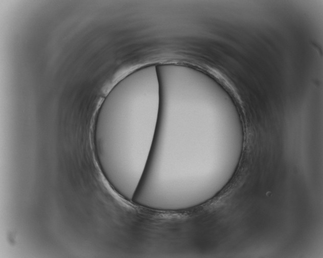 X0000100381429200806060816
