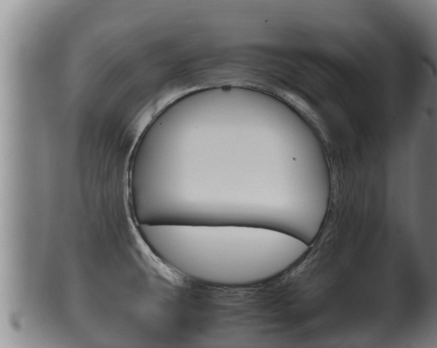 X0000100381431200806060816