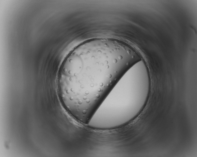 X0000100381432200806060816