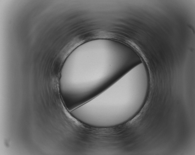 X0000100381433200806060816