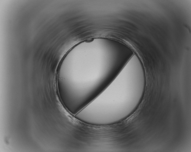 X0000100381434200806060816