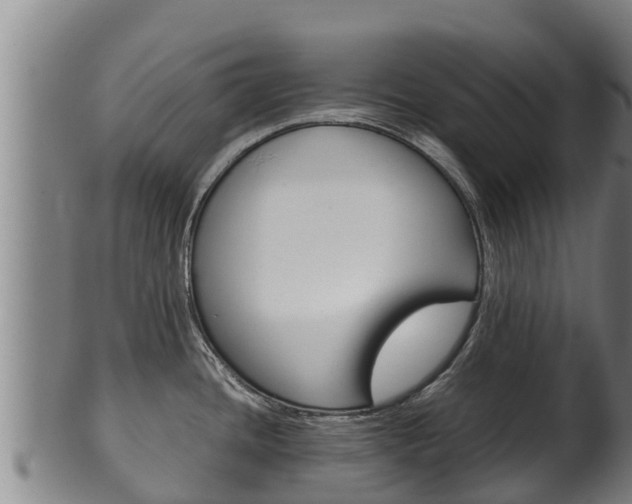 X0000100381436200806060816