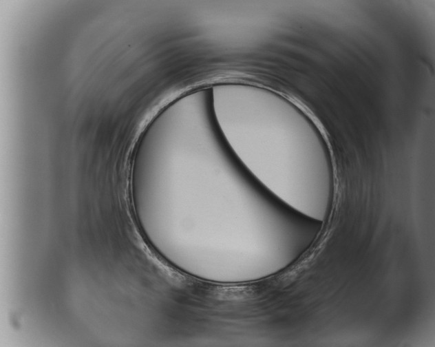 X0000100381437200806060816
