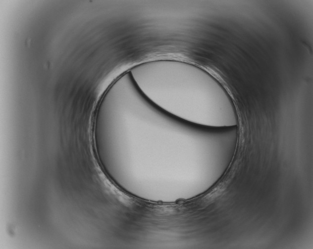 X0000100381438200806060816