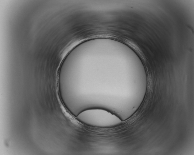 X0000100381439200806060816
