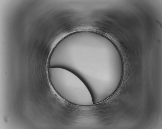 X0000100381440200806060816