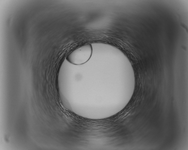 X0000100381441200806060815