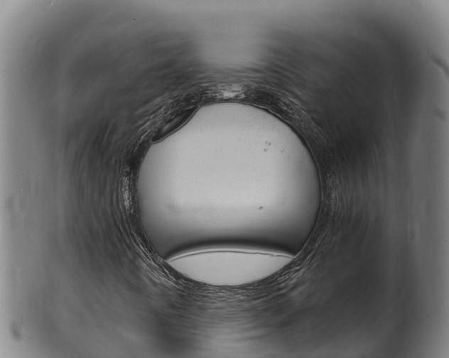 X0000100381442200806060815
