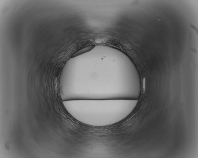 X0000100381443200806060815