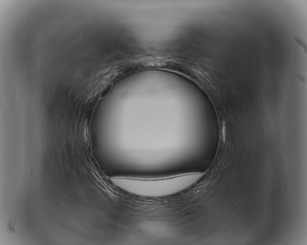 X0000100381444200806060815