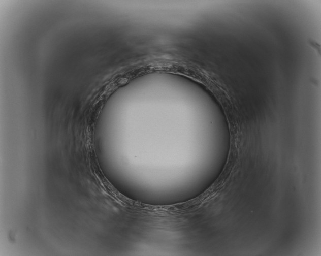 X0000100381445200806060815