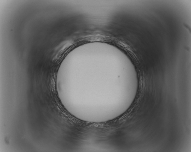 X0000100381446200806060815