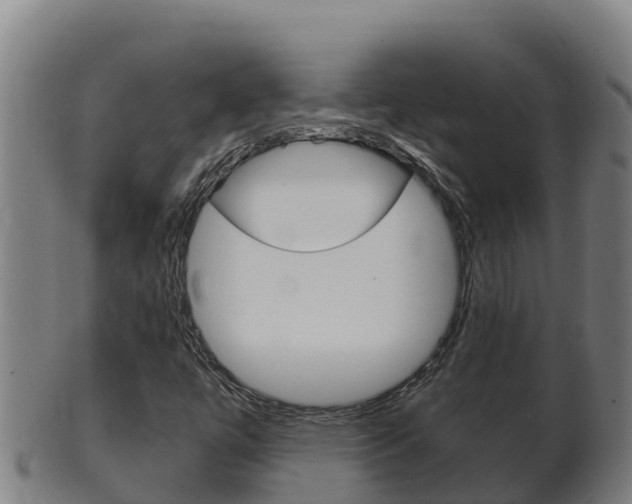 X0000100381447200806060815