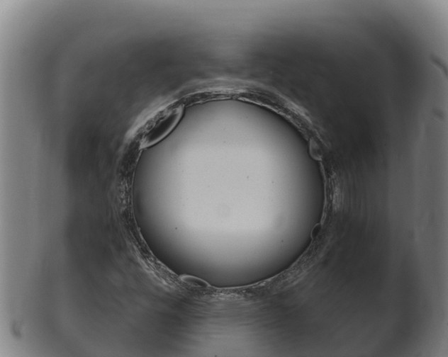 X0000100381448200806060815