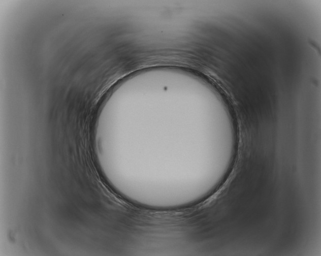 X0000100381449200806060815