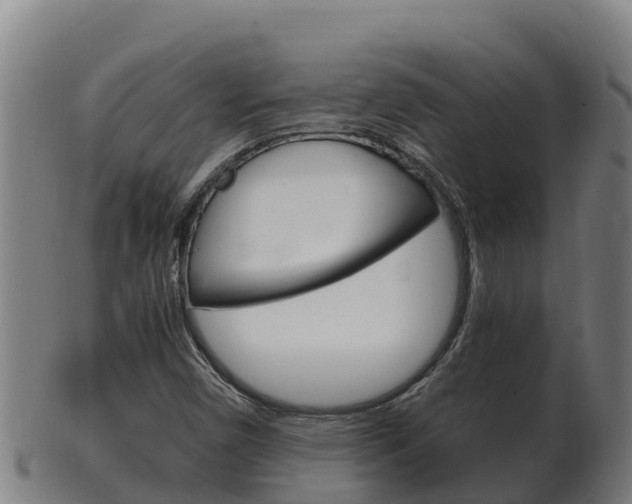 X0000100381450200806060815