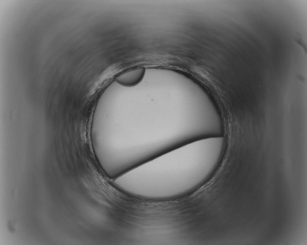 X0000100381451200806060815