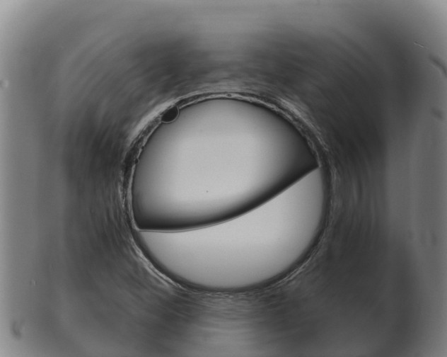 X0000100381452200806060815