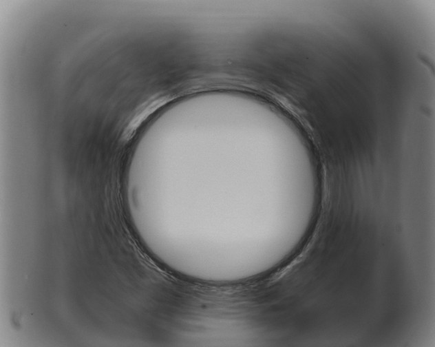 X0000100381453200806060815
